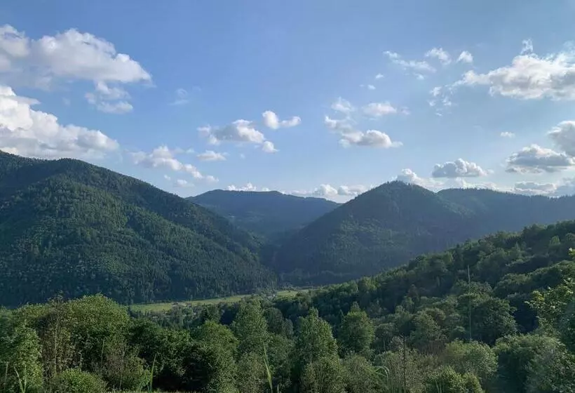 Majatalo Sadyba Lesivykh