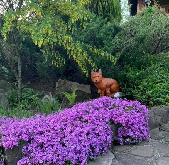 Majatalo Sadyba Lesivykh