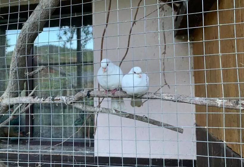 Majatalo Sadyba Lesivykh