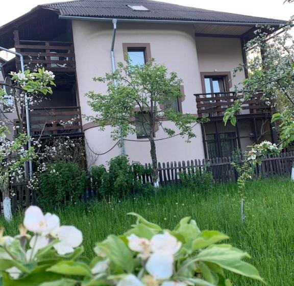 بنسيون Sadyba Lesivykh