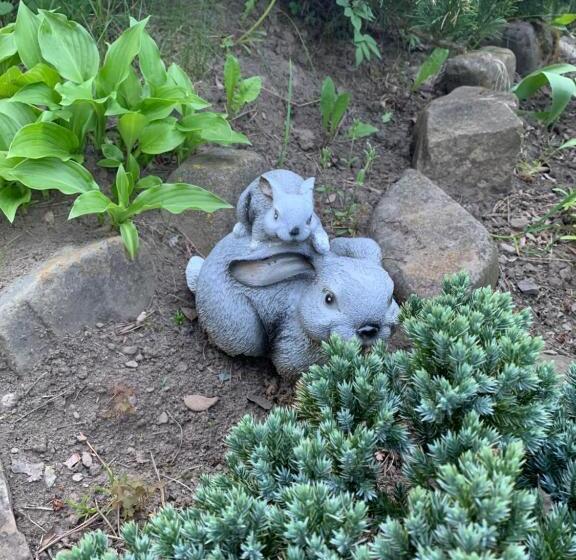 بنسيون Sadyba Lesivykh