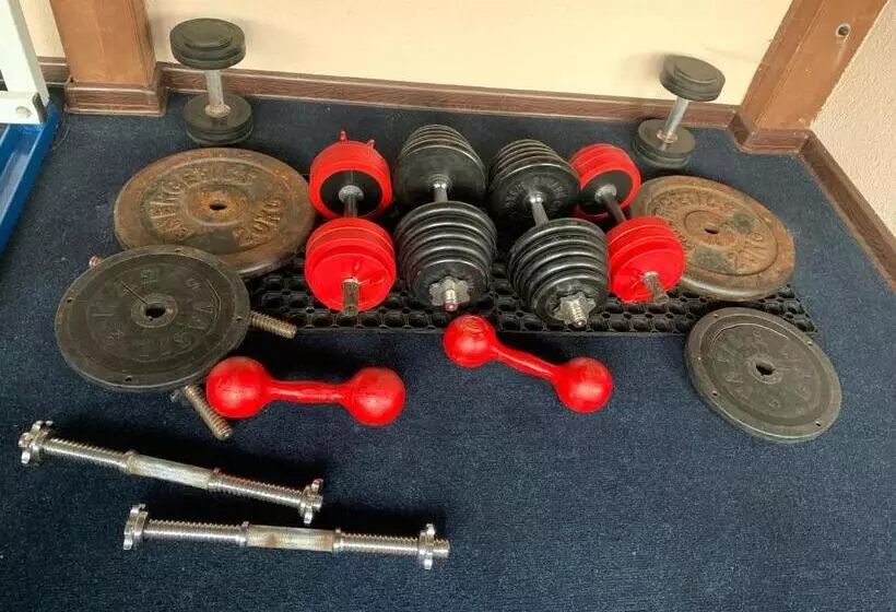 Majatalo Sadyba Lesivykh