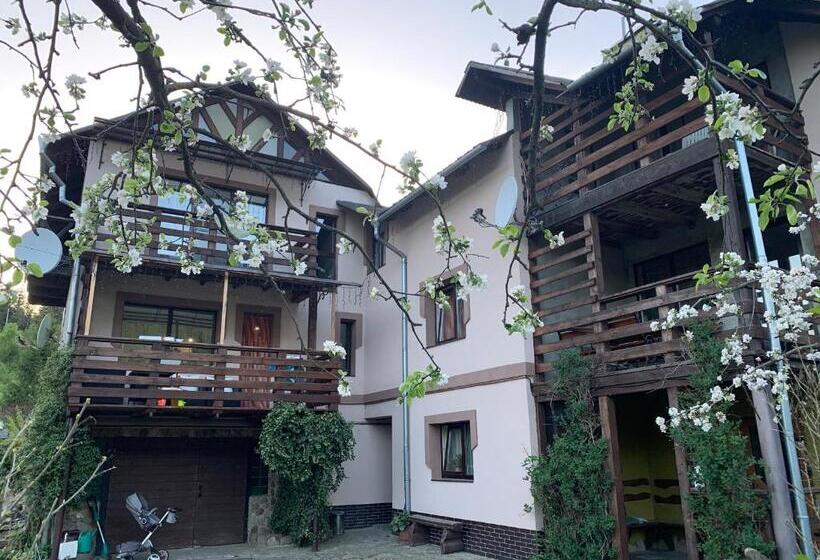 بنسيون Sadyba Lesivykh