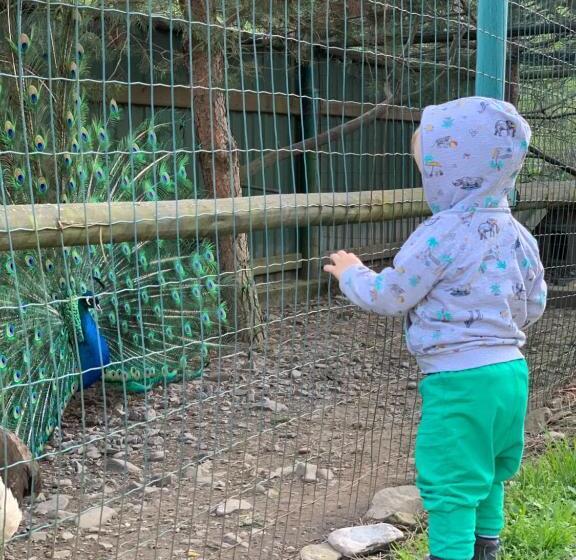 بنسيون Sadyba Lesivykh