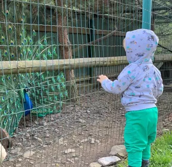 Majatalo Sadyba Lesivykh