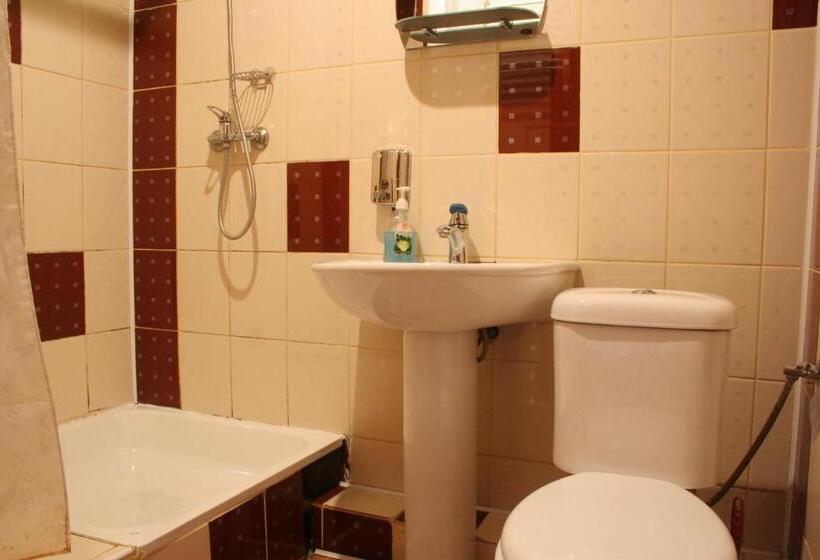 بنسيون Sadyba Lesivykh