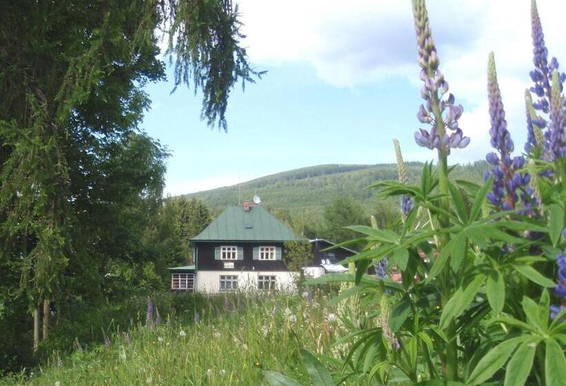 پانسیون Vila Martin