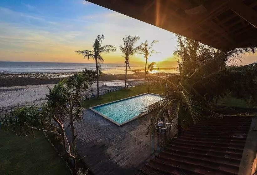 ユースホステル The Tree House Sumbawa