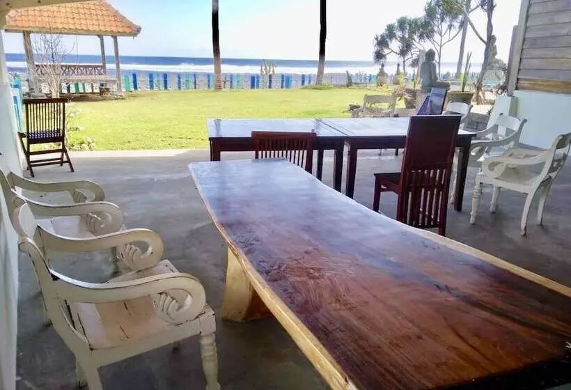 ユースホステル The Tree House Sumbawa