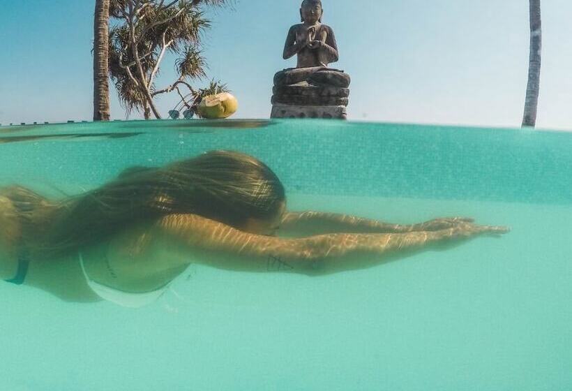 הוסטל The Tree House Sumbawa