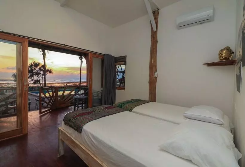 ユースホステル The Tree House Sumbawa
