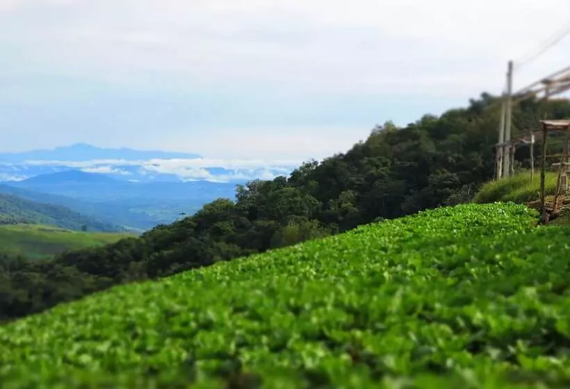 Hotelli Baanchomdow Phutubberk