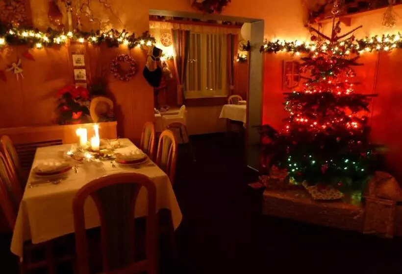 Hotelli Penzion Logla