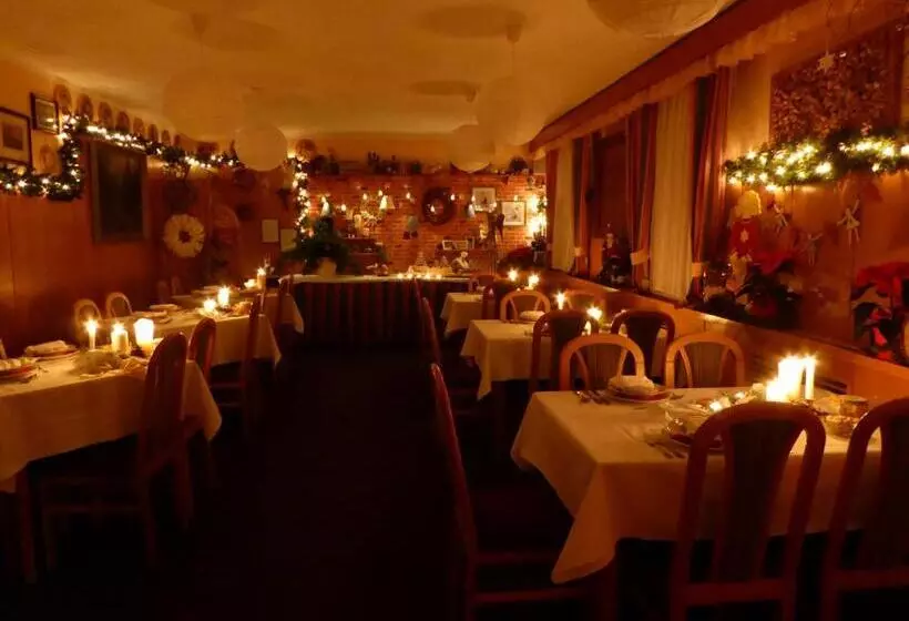 Hotelli Penzion Logla