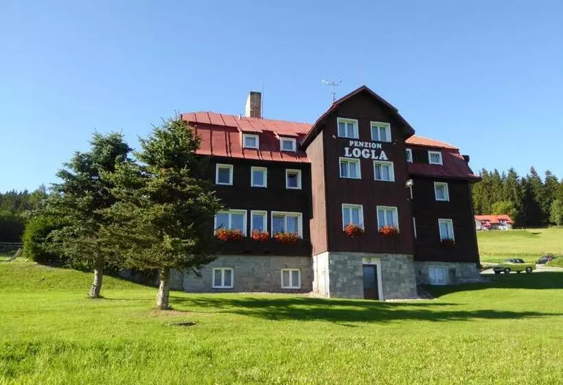 Hotelli Penzion Logla