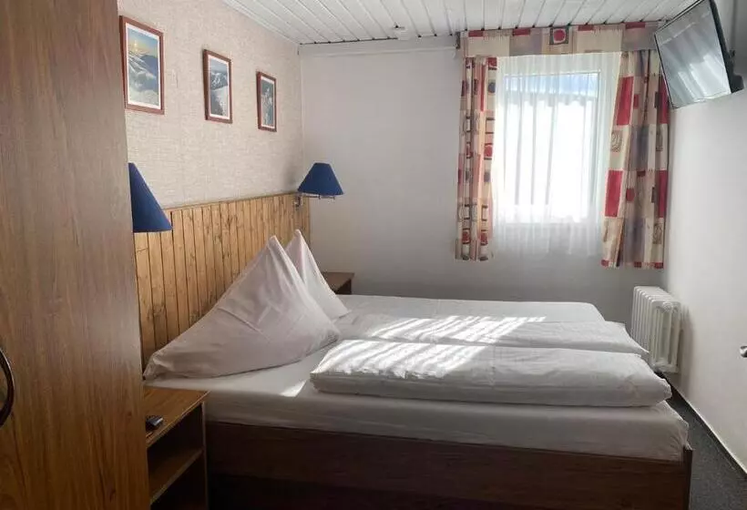 Hotelli Penzion Logla