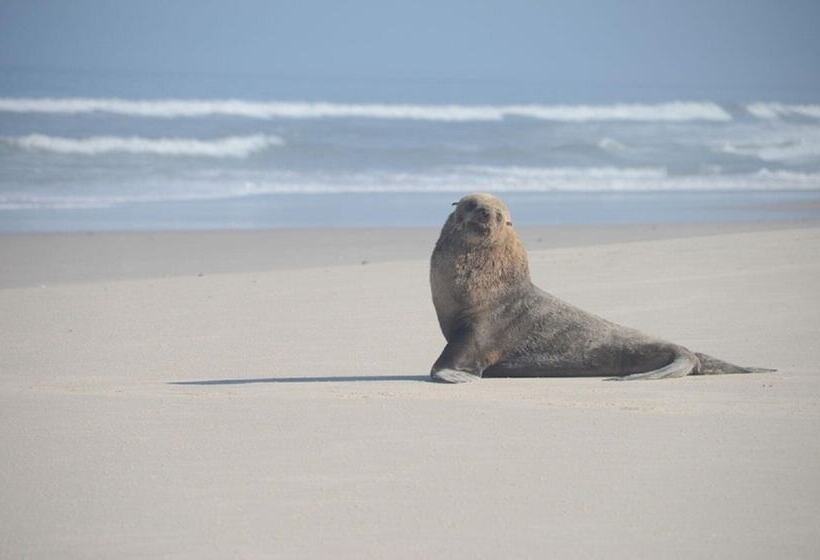 ホテル West Coast Luxury Tents