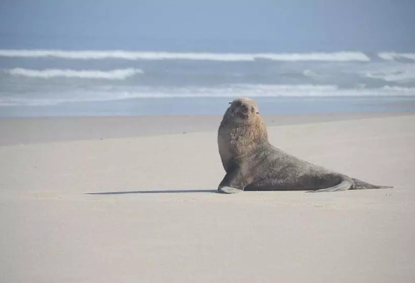 Hotelli West Coast Luxury Tents