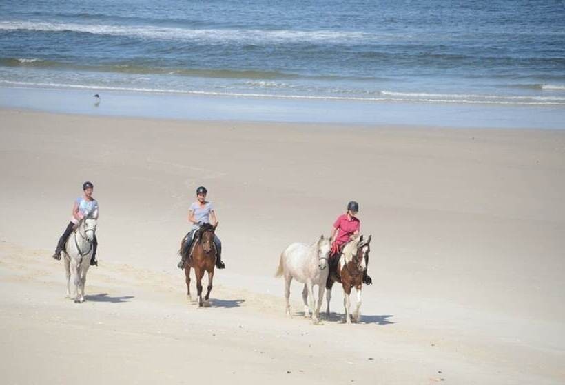 ホテル West Coast Luxury Tents