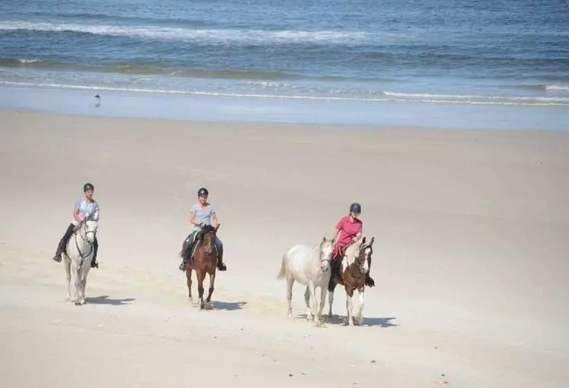 Hotelli West Coast Luxury Tents