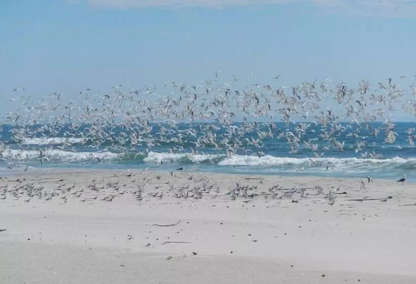 Hotelli West Coast Luxury Tents