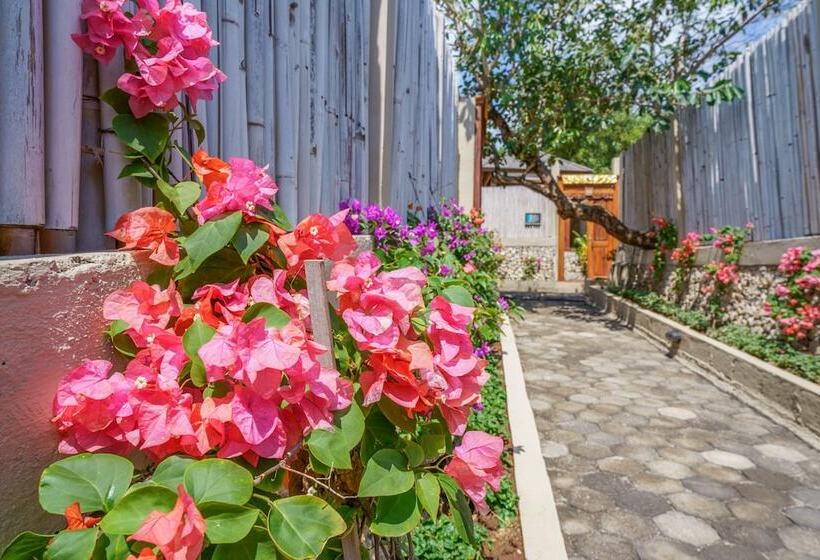 Pension Blue Lagoon Avia Villas