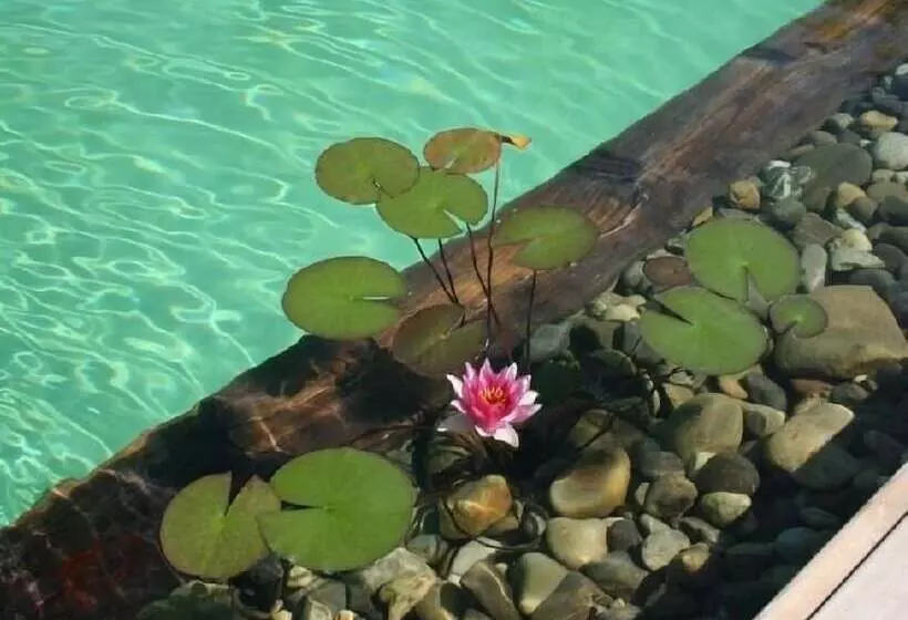 Aamiaismajoitus (B&B) Chambres D Hotes Coeur De Sundgau