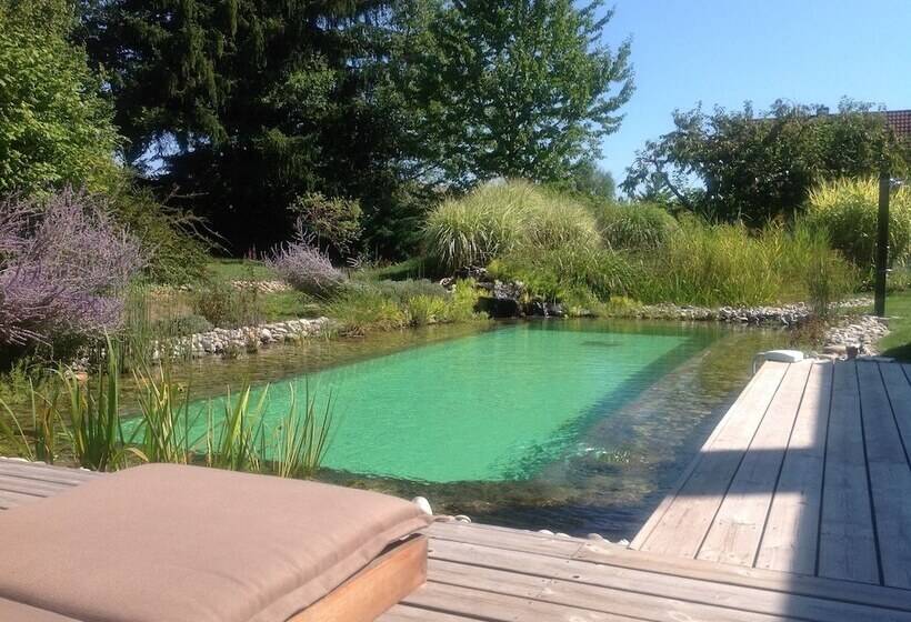 Bed and Breakfast Chambres D Hotes Coeur De Sundgau