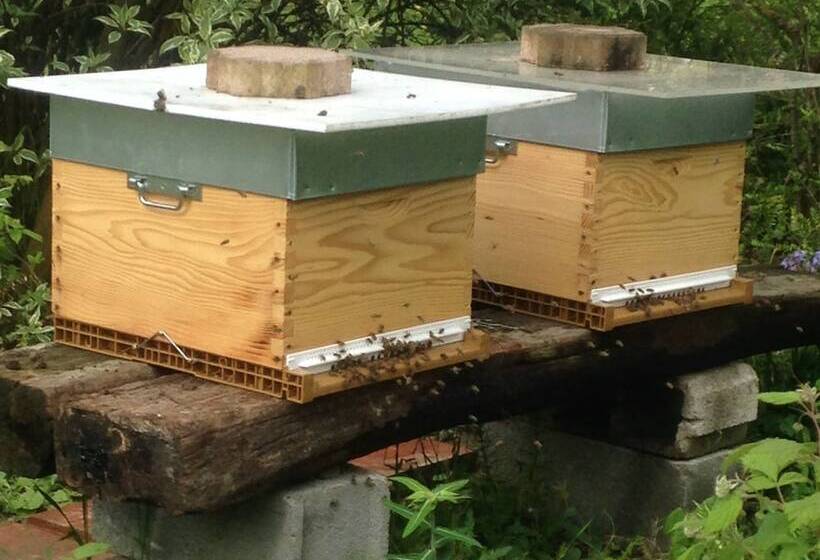 Bed and Breakfast Chambres D Hotes Coeur De Sundgau