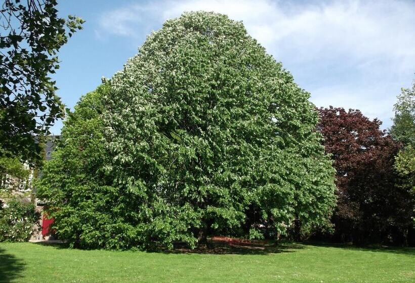 Bed and Breakfast La Sévinais