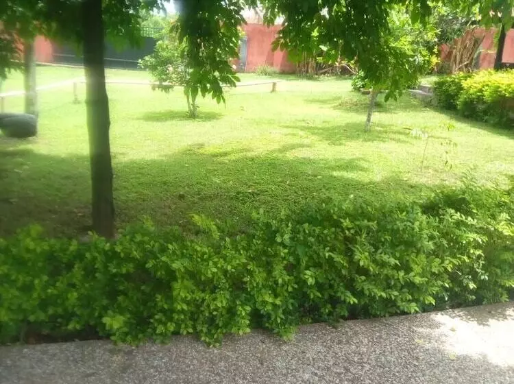 ホテル Big Foot Safari Lodge