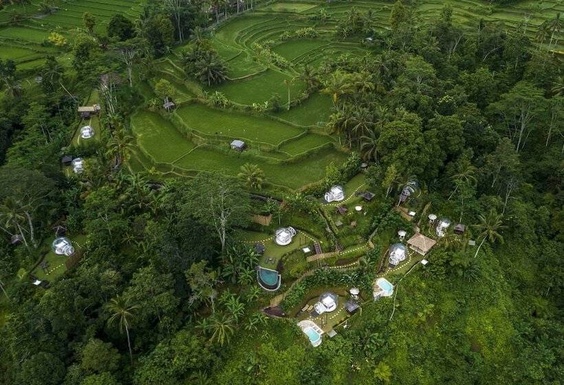 Bubble Hotel Bali Ubud Adults Only