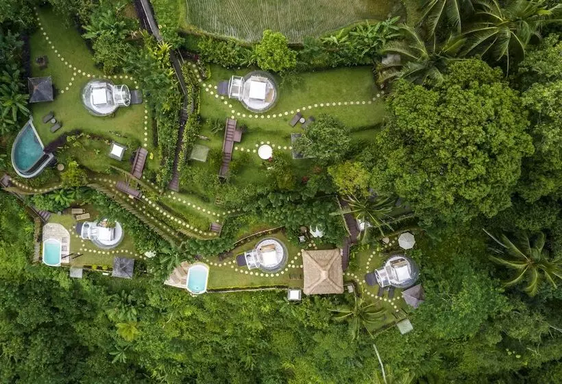 Bubble Hotel Bali Ubud   Adults Only