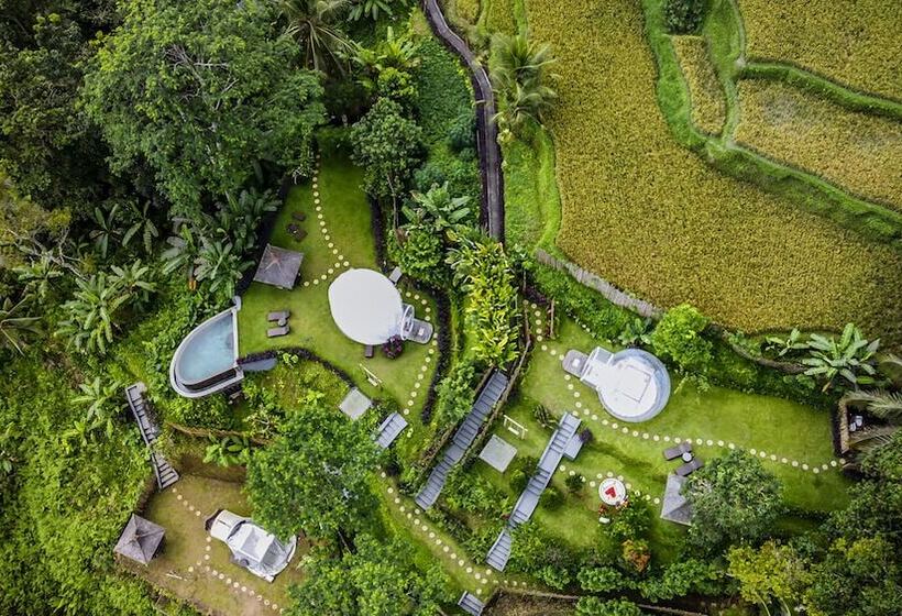 Bubble Hotel Bali Ubud Adults Only