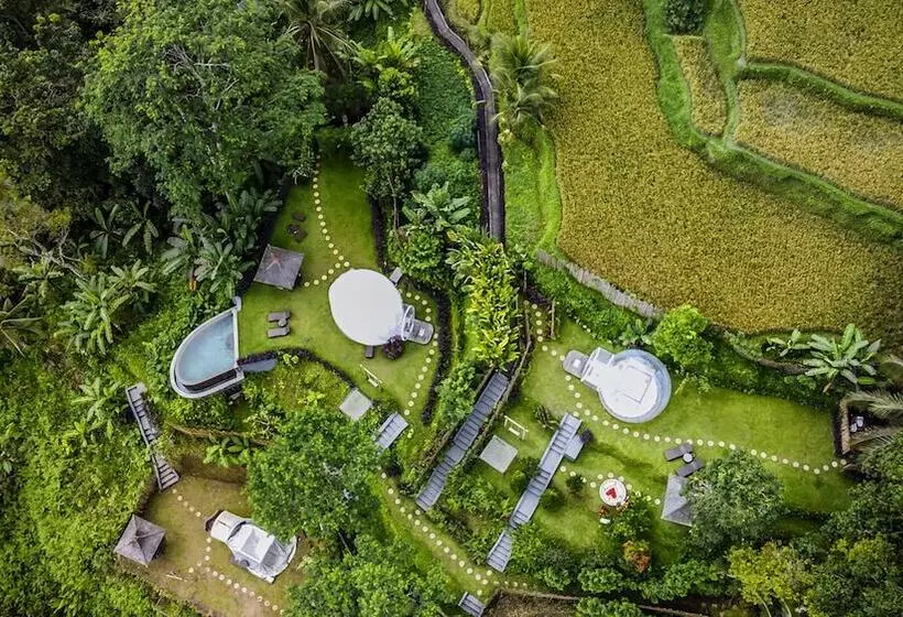 Bubble Hotel Bali Ubud   Adults Only