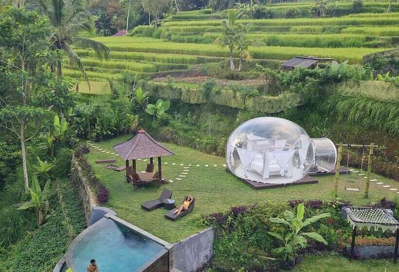 Bubble Hotel Bali Ubud Adults Only