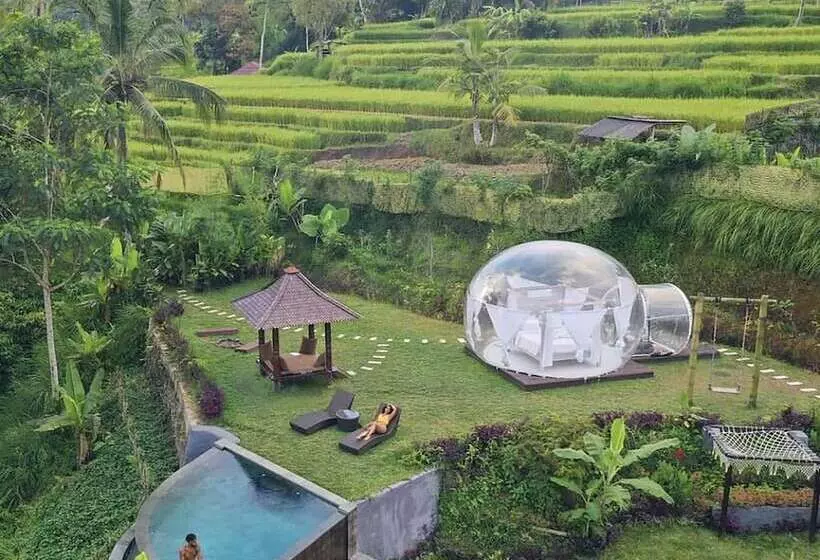 Bubble Hotel Bali Ubud   Adults Only
