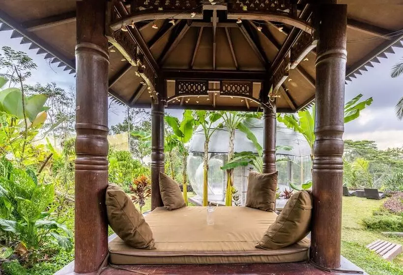 Bubble Hotel Bali Ubud   Adults Only
