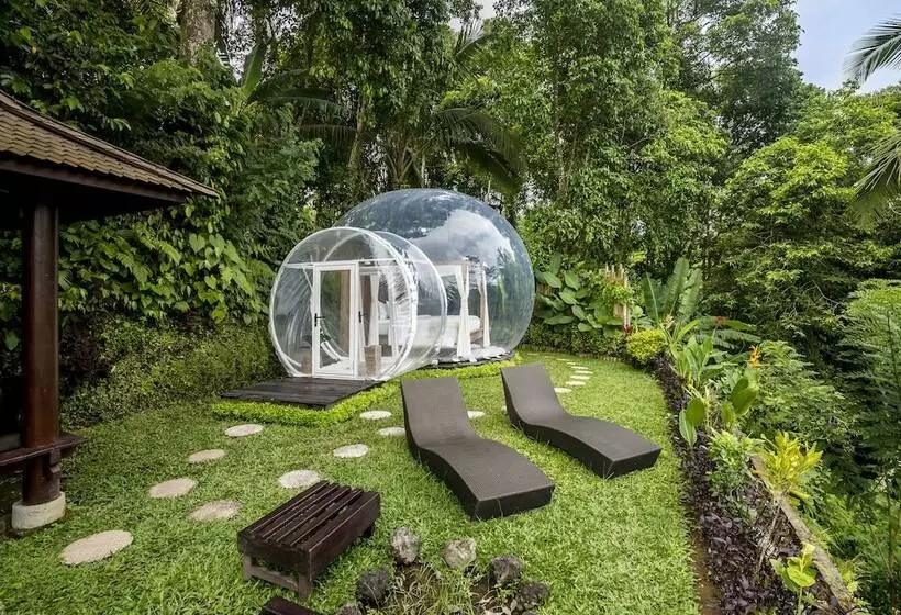 Bubble Hotel Bali Ubud   Adults Only