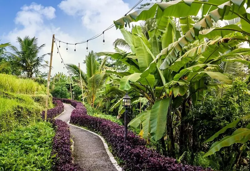 Bubble Hotel Bali Ubud   Adults Only