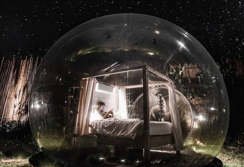 Bubble Hotel Bali Ubud Adults Only