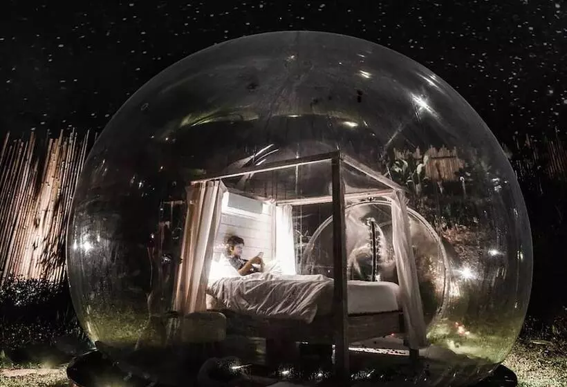 Bubble Hotel Bali Ubud   Adults Only