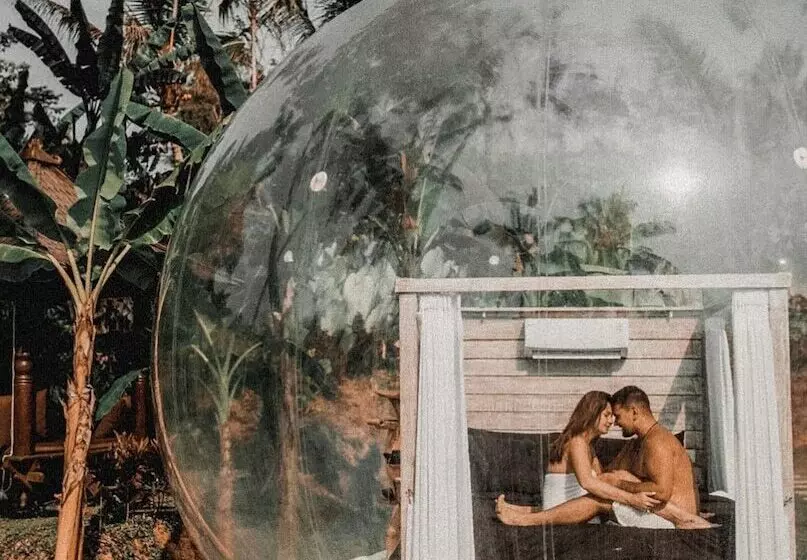 Bubble Hotel Bali Ubud   Adults Only