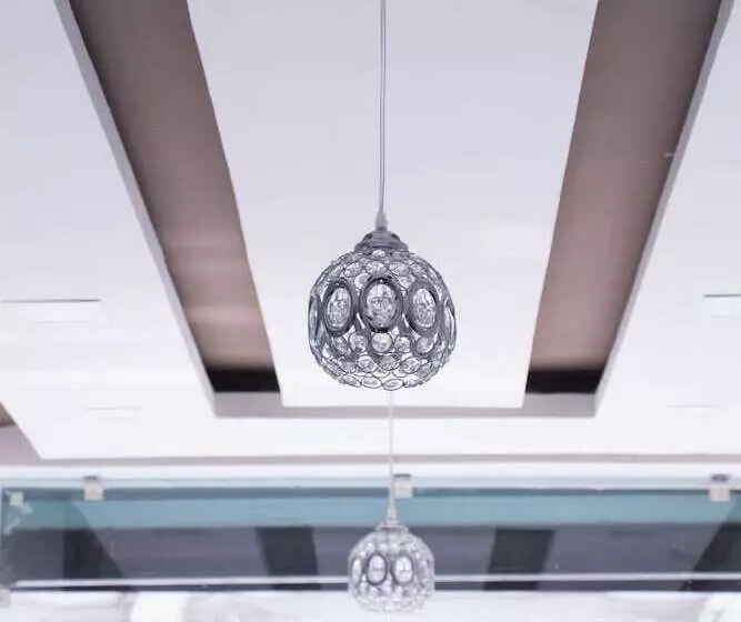 Hotelli Shree Palace & Restaurant