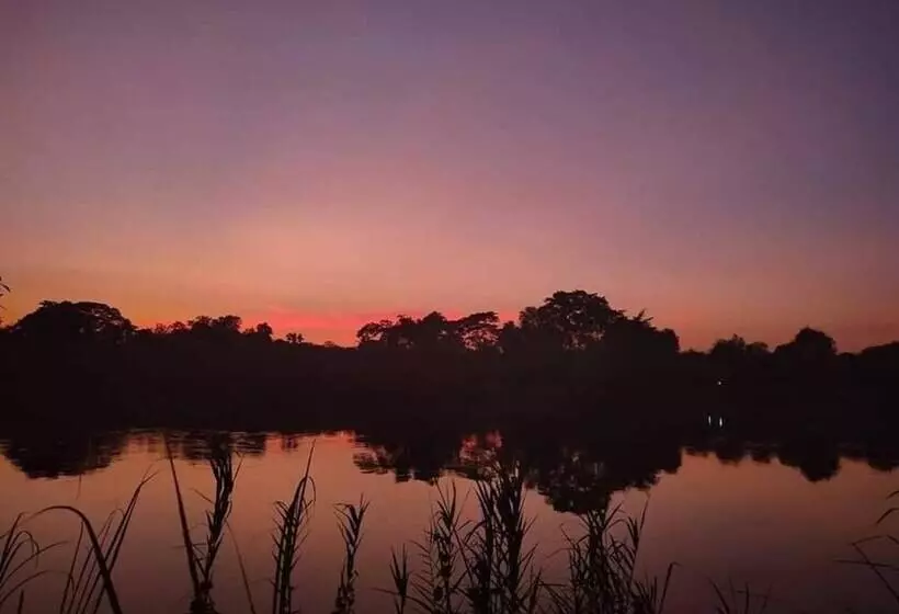 ホテル The Antique Riverside Resort