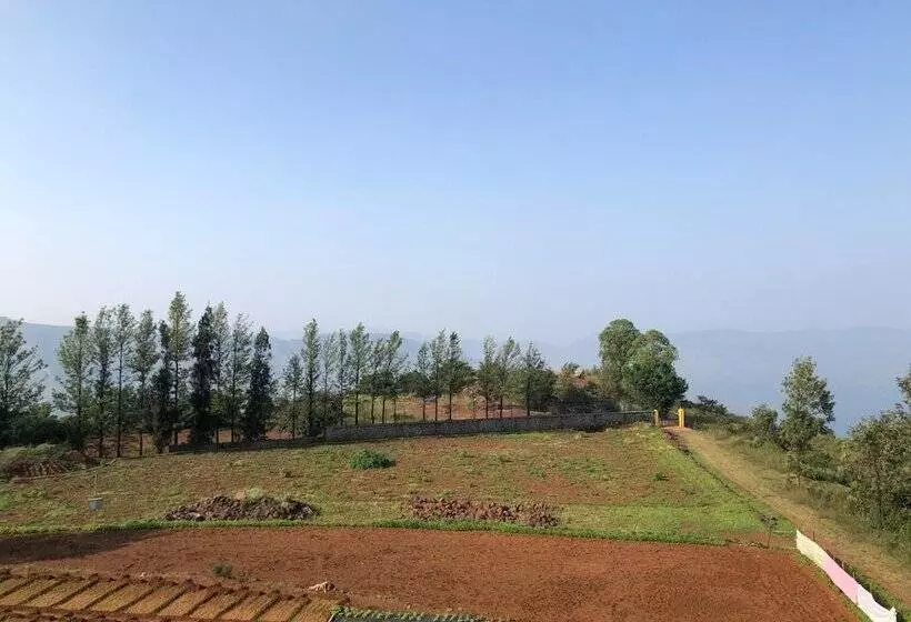ホテル Valley Exotica