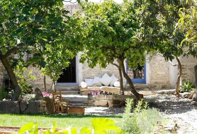 Mario Cesare   Exclusive B&b