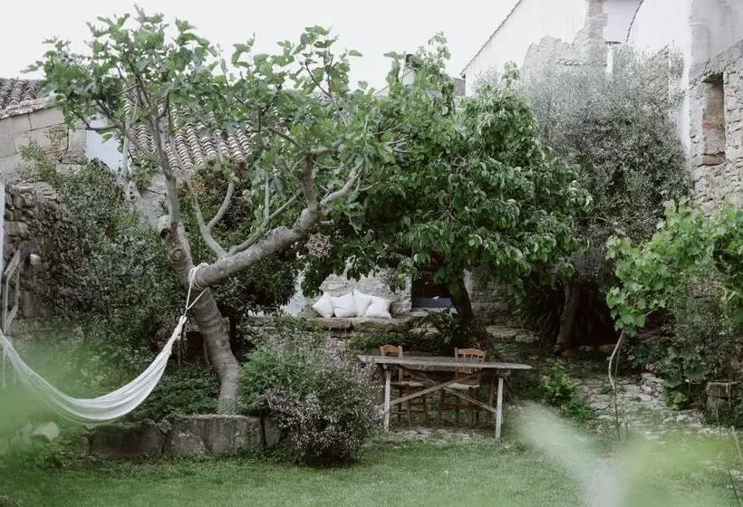 Mario Cesare   Exclusive B&b