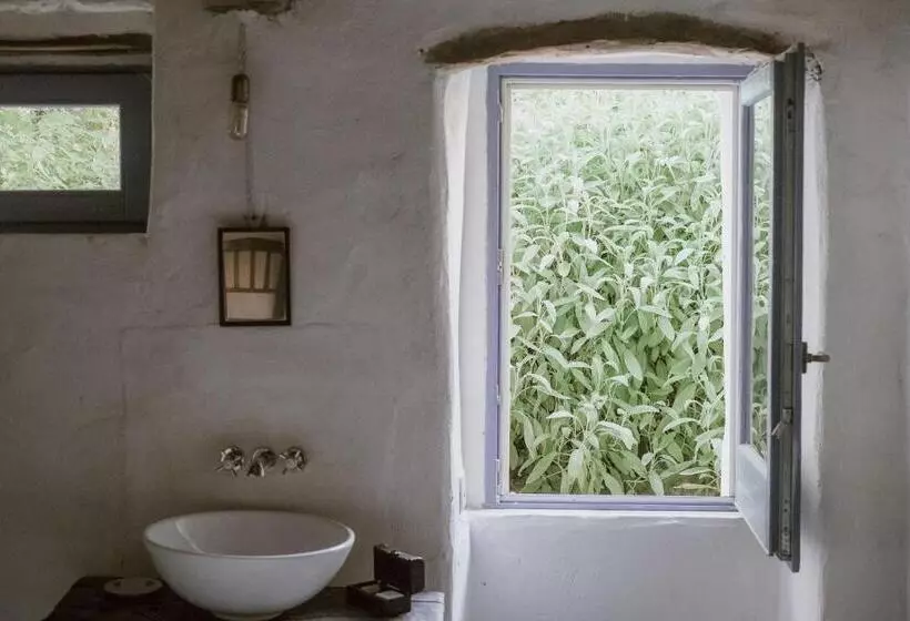 Mario Cesare   Exclusive B&b