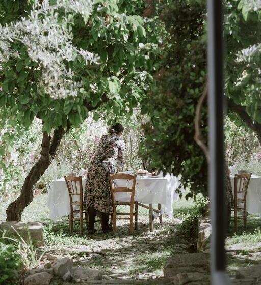 Mario Cesare   Exclusive B&b